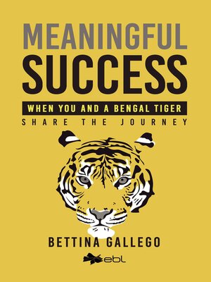 cover image of Meaningful Success